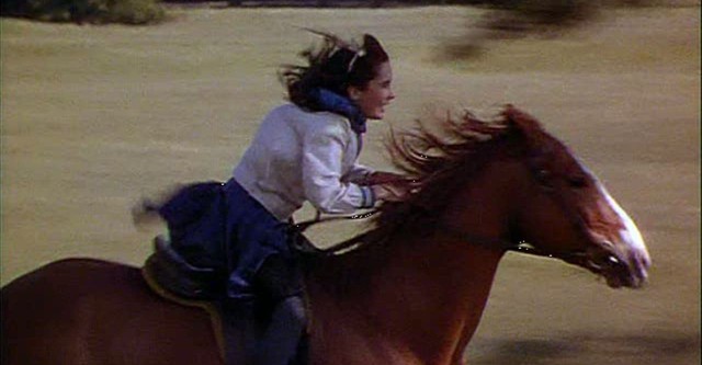 National Velvet