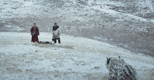 Le Léopard des neiges