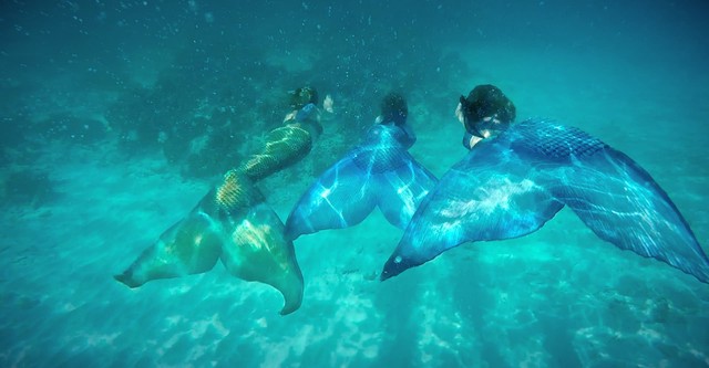 Mermaids - Meerjungfrauen in Gefahr