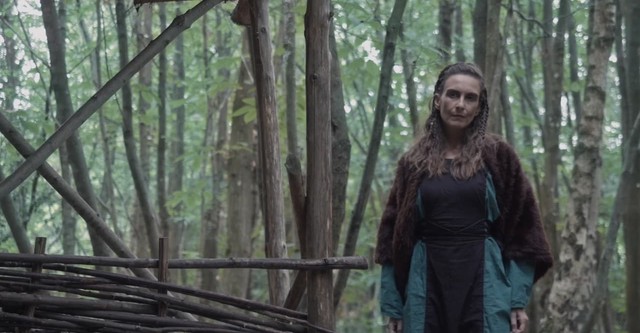 Vikings: Blood Lust
