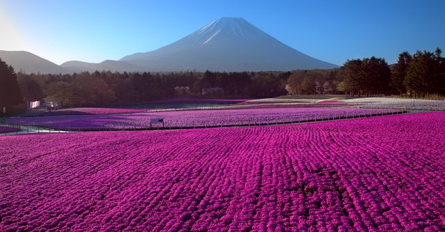 Japani ylhäältä päin