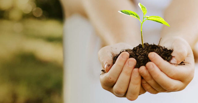 6 Obscure Documentaries That Could Quietly Change The World