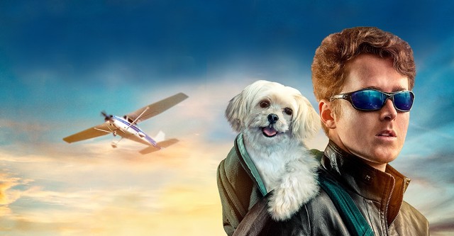 Perro del cielo