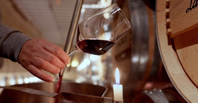 Rioja, la tierra de los mil vinos