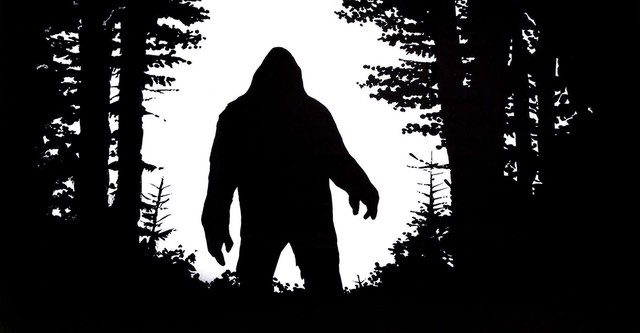 Sasquatch, the Legend of Bigfoot