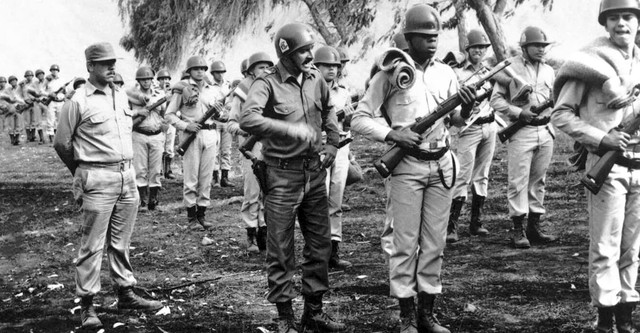 The City and the Dogs