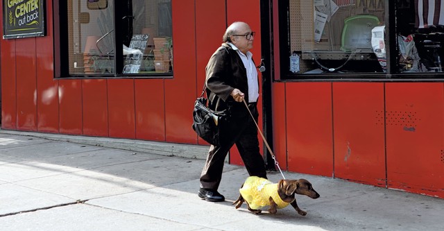 Wiener-Dog - película: Ver online completa en español