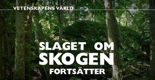 Vetenskapens värld: Slaget om skogen