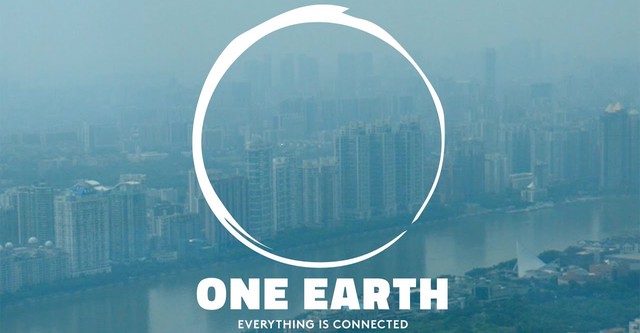 One Earth: Everything is Connected