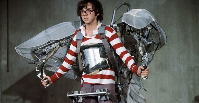 Auch Vögel können töten