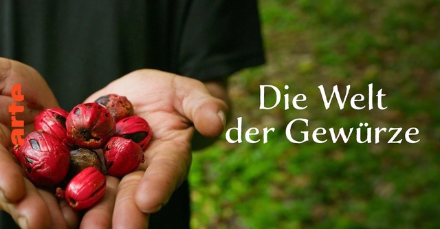 Welt der Gewürze