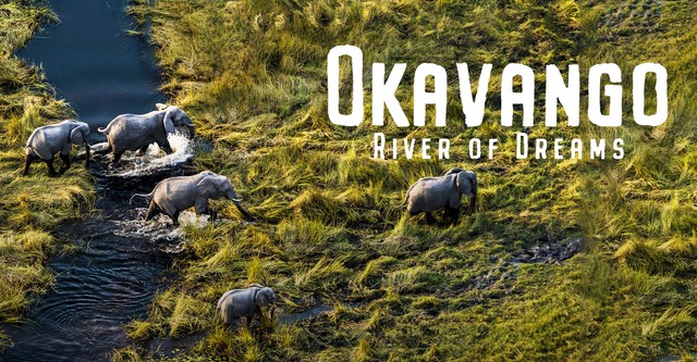 Okawango - Fluss der Träume