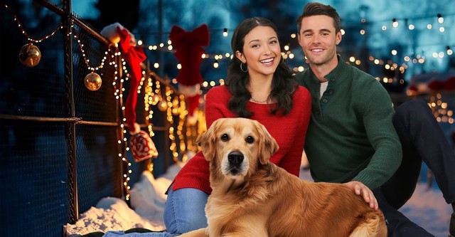 Weihnachtsglück mit Herz und Hund