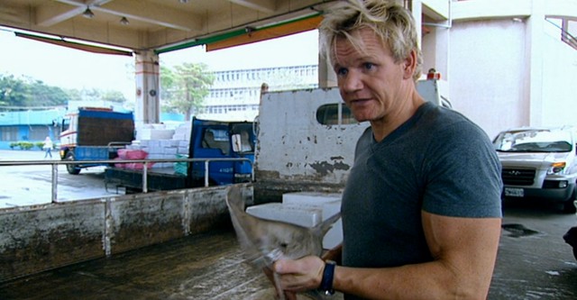 Gordon Ramsay: Shark Bait