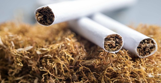 Nicotina, una droga con futuro