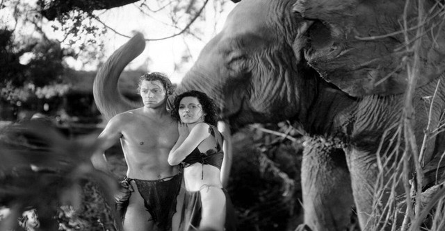 Tarzan Revisited