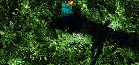 10 films et séries incontournables à ne pas manquer en streaming cette semaine