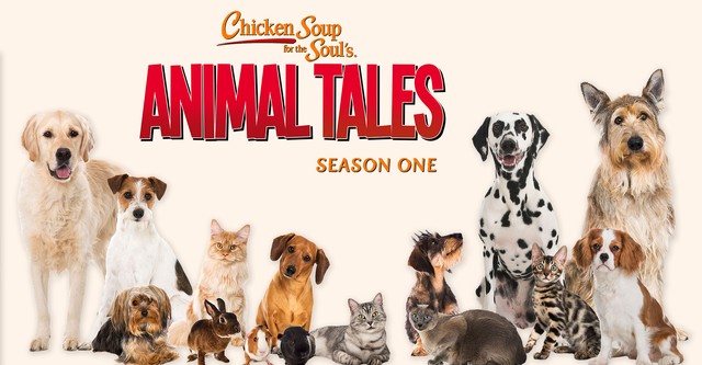 Chicken Soup for the Soul's Animal Tales