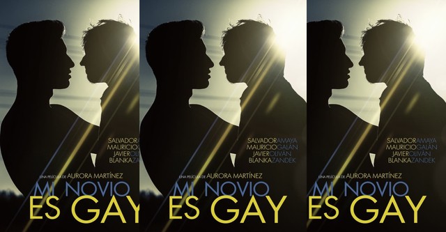 Mi novio es gay