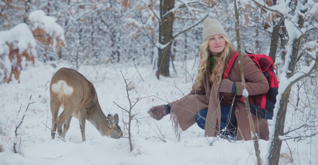 A European Christmas