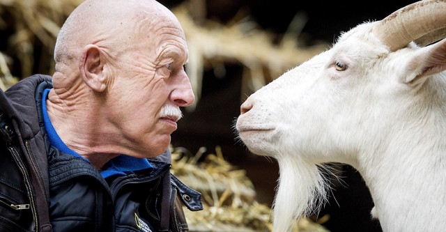 The Incredible Dr. Pol