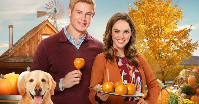 Love, Fall & Order - movie: watch streaming online