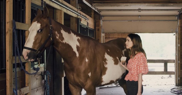 Joy of Horses