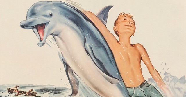 Flipper
