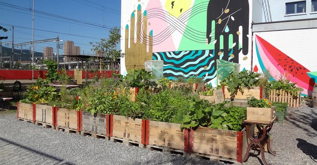 Urban Farming: Gemüse aus der Stadt