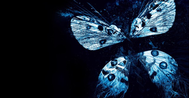 Butterfly Effect 3 - Die Offenbarung