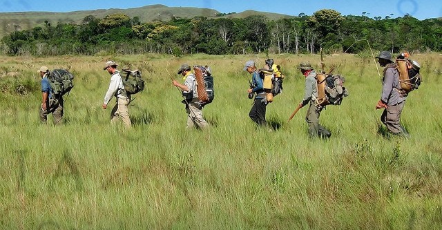 Out of the Wild: Venezuela