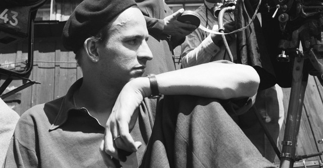 Bergman — A Year in a Life