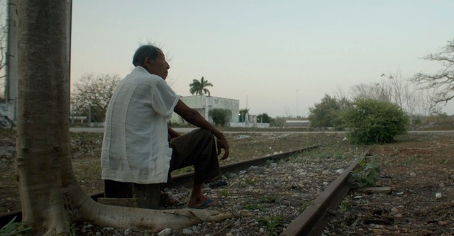 El tren y la península