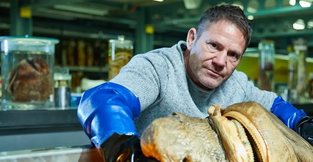 Shark with Steve Backshall