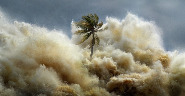 Tsunami: Závod s časem