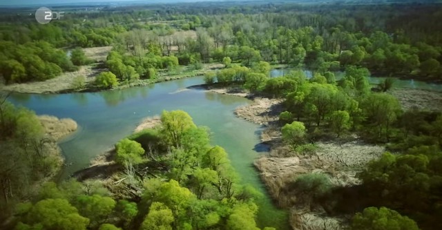 Das Rauschen der Isar - Von Wildnis und verborgenen Welten