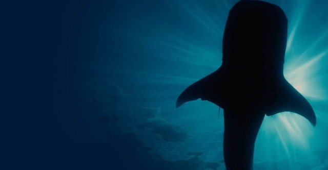 Focus natura - Un mondo perfetto