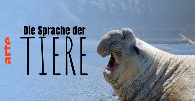 Die Sprache der Tiere
