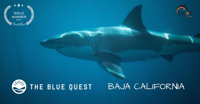 The Blue Quest Baja California