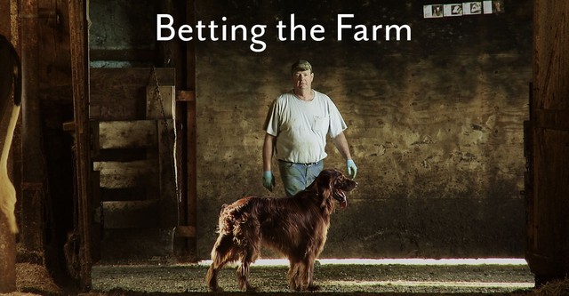 Betting the Farm