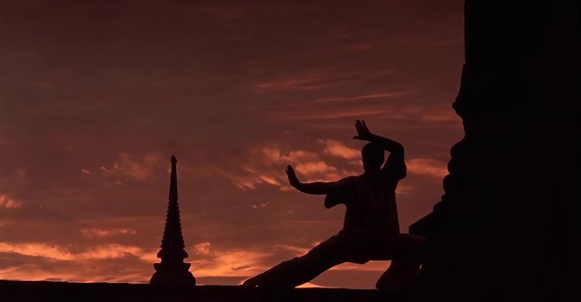 Karate Tiger 3 - Der Kickboxer