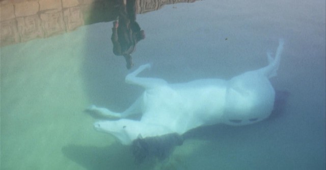 Der Tag der Heuschrecke