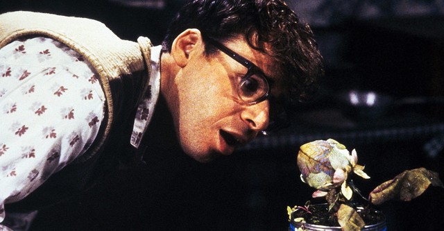 Little Shop of Horrors