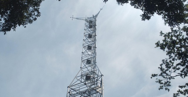 The Tree of Authenticity