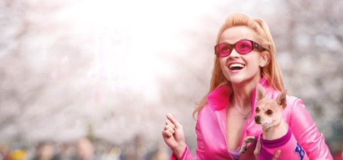 “La rivincita delle bionde”: tutti i film e le serie TV del franchise in ordine di uscita