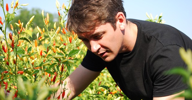 Around the World in 80 Trades