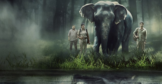 Poacher