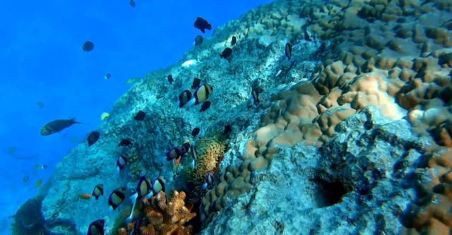 Discovering the Ancient Colors of Yucatan