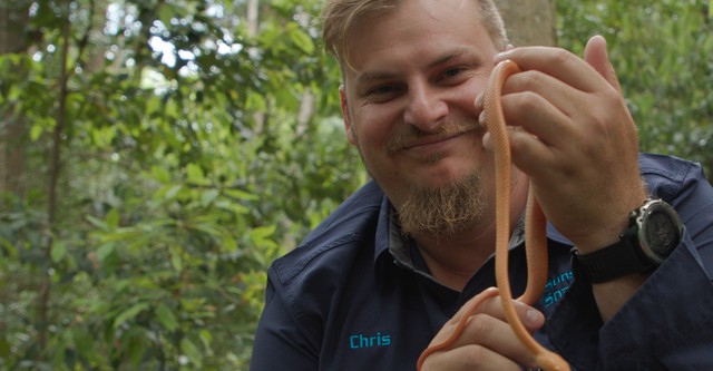 Snake Security Schlangenalarm in Australien