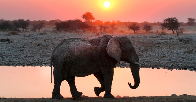 Faszination Afrika 3D